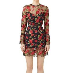 Saylor rose dress